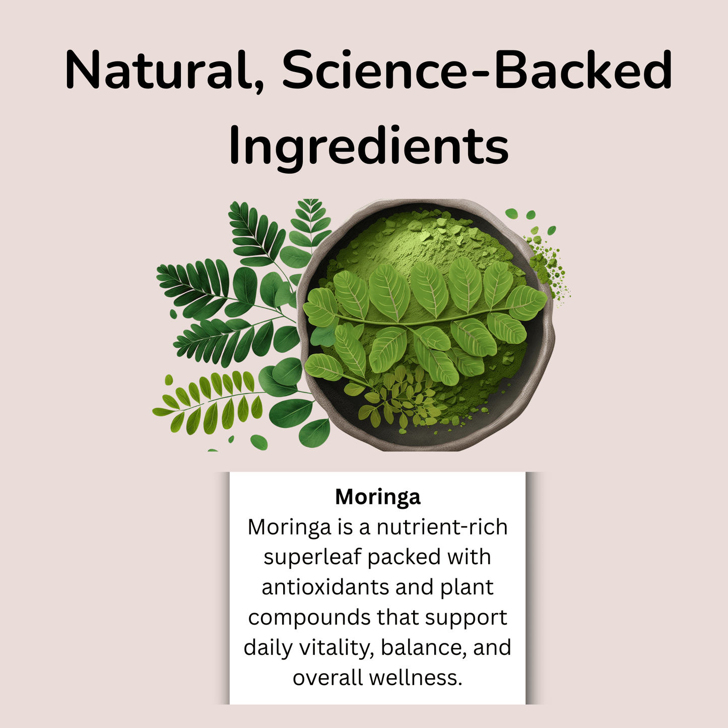 Balance+ Daily Foundation with Moringa by Cognora