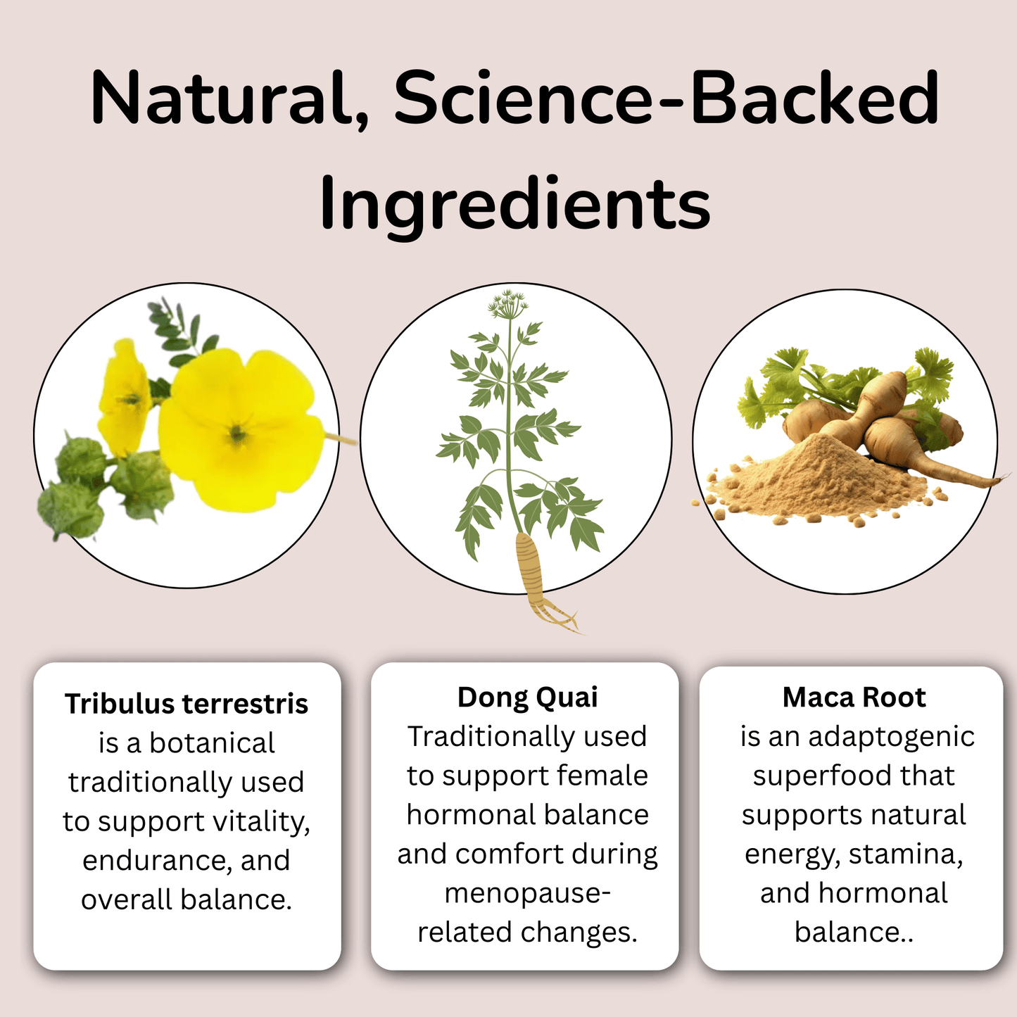 Balance+ Desire Reignite Formula by Cognora