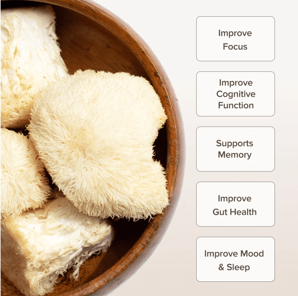 Cognora Focus+ Lion’s Mane  Mushroom Coffee Blend | 80 Servings
